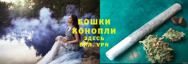 шишки Михайлов