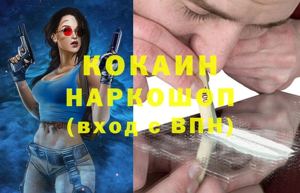 шишки Михайлов