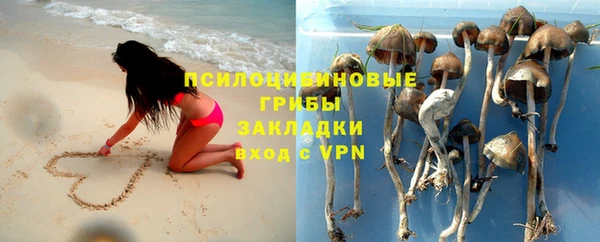 шишки Михайлов